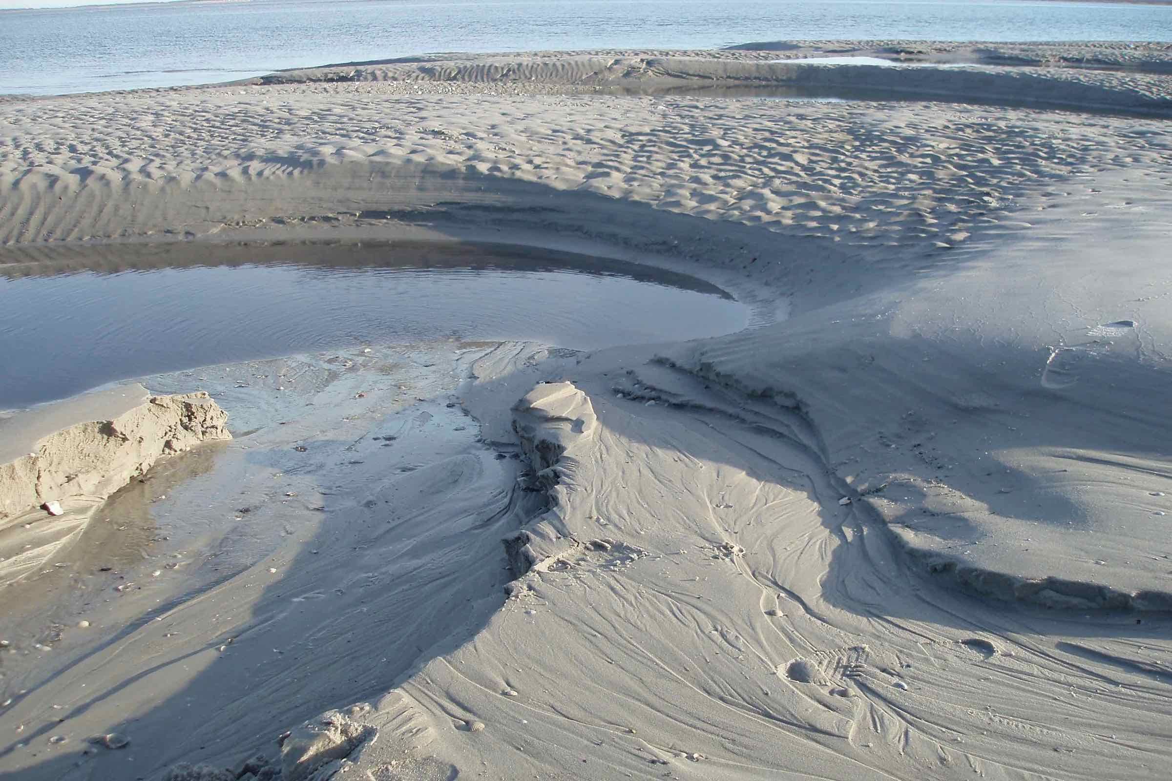 Das Wattenmeer ist ein ganz besonderer Lebensraum, das im Rahmen dieser Wattführung vorgestellt wird. Wir zeigen typische Muscheln, Würmer und Krebse und beschäftigen uns mit dem Schutz des Watts.