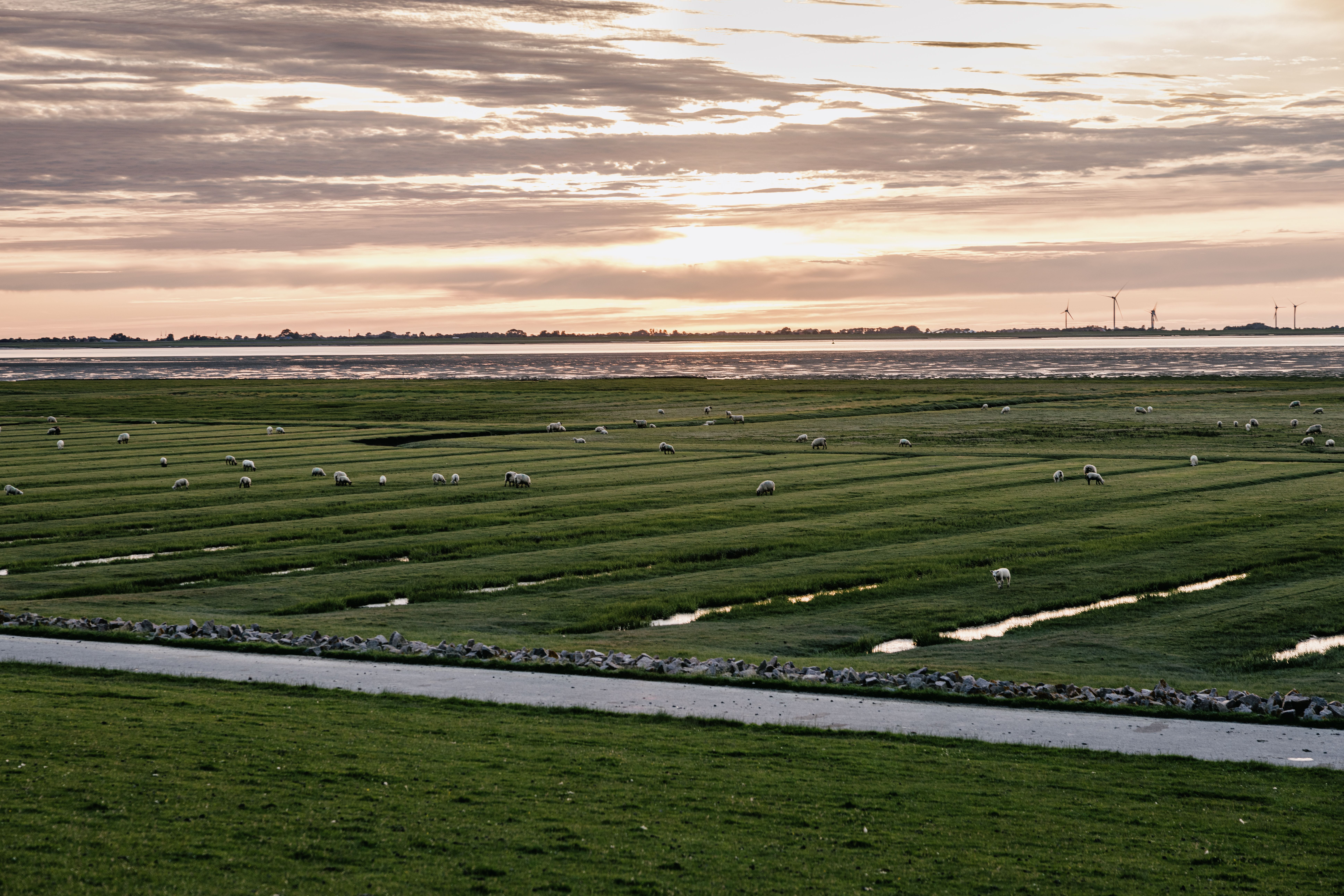 Baden gehen am grünen Badedeich Lundenbergsand Simonsberg 