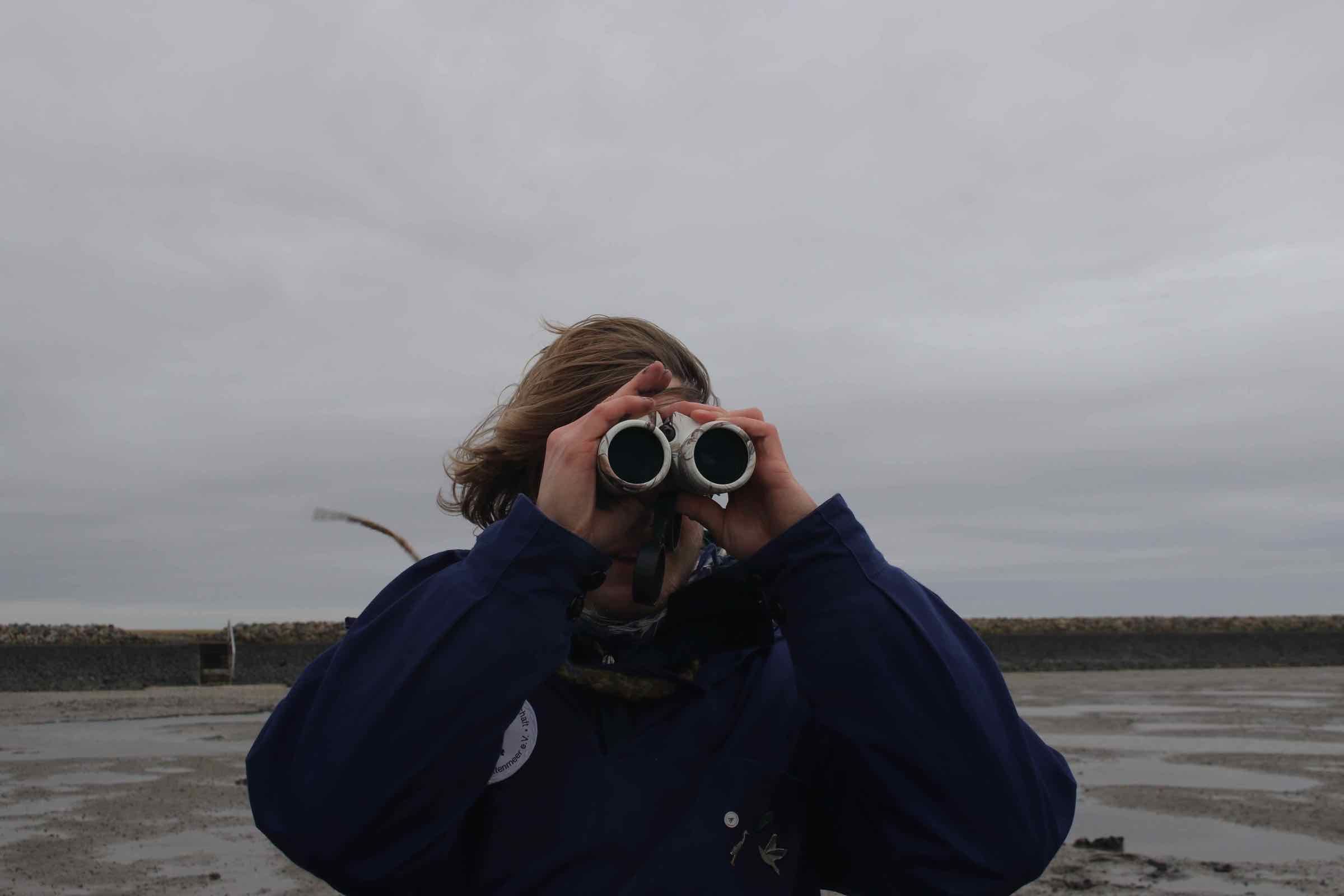 Vogelwelt und Wattenmeer, beides hängt direkt zusammen. Bei Ebbe gehen wir gemeinsam ins Watt und beobachten hier die Vögel bei der Nahrungssuche aus nächster Nähe mit Fernglas und Fernrohr.