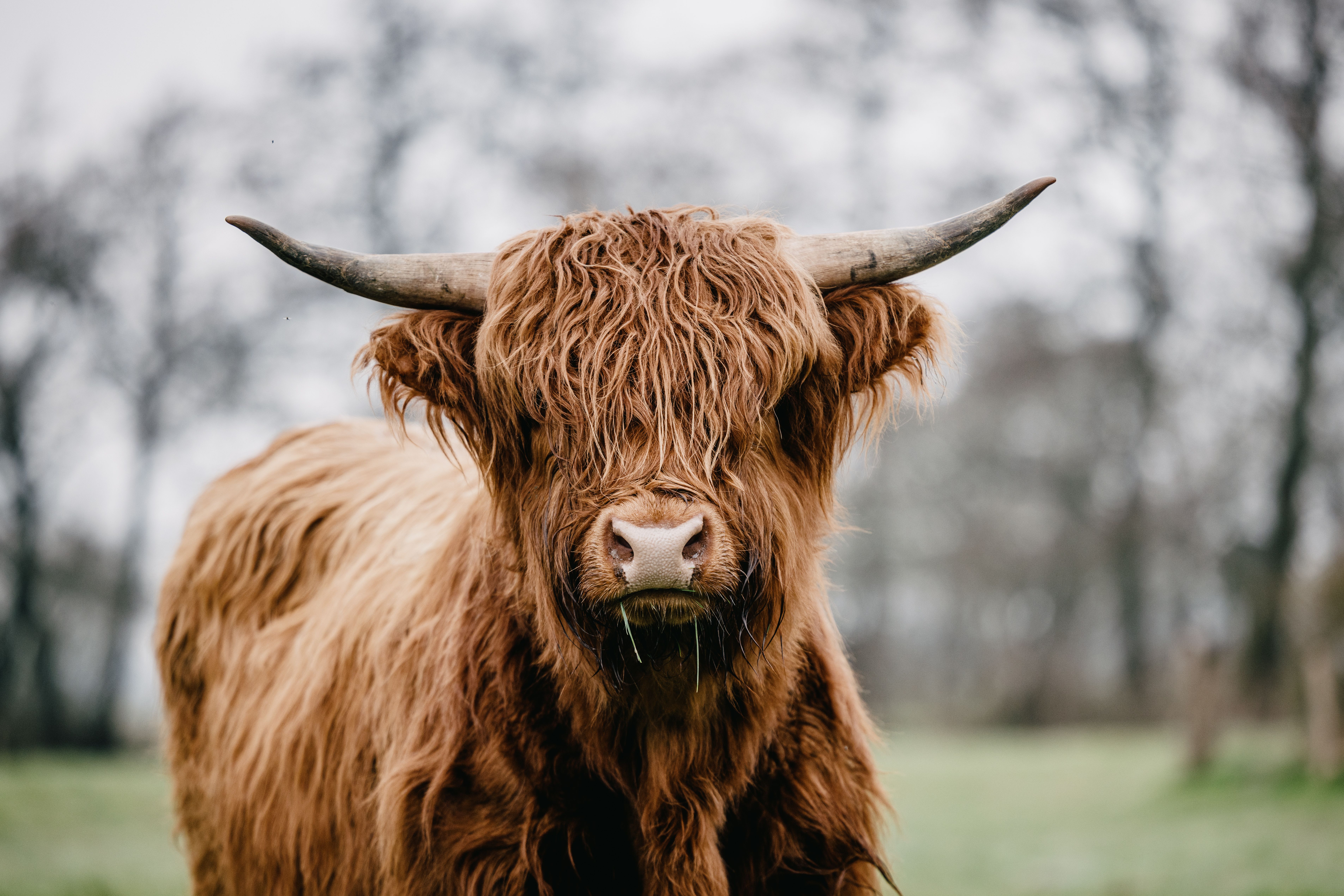 Sibbershusum Direktvermarktung