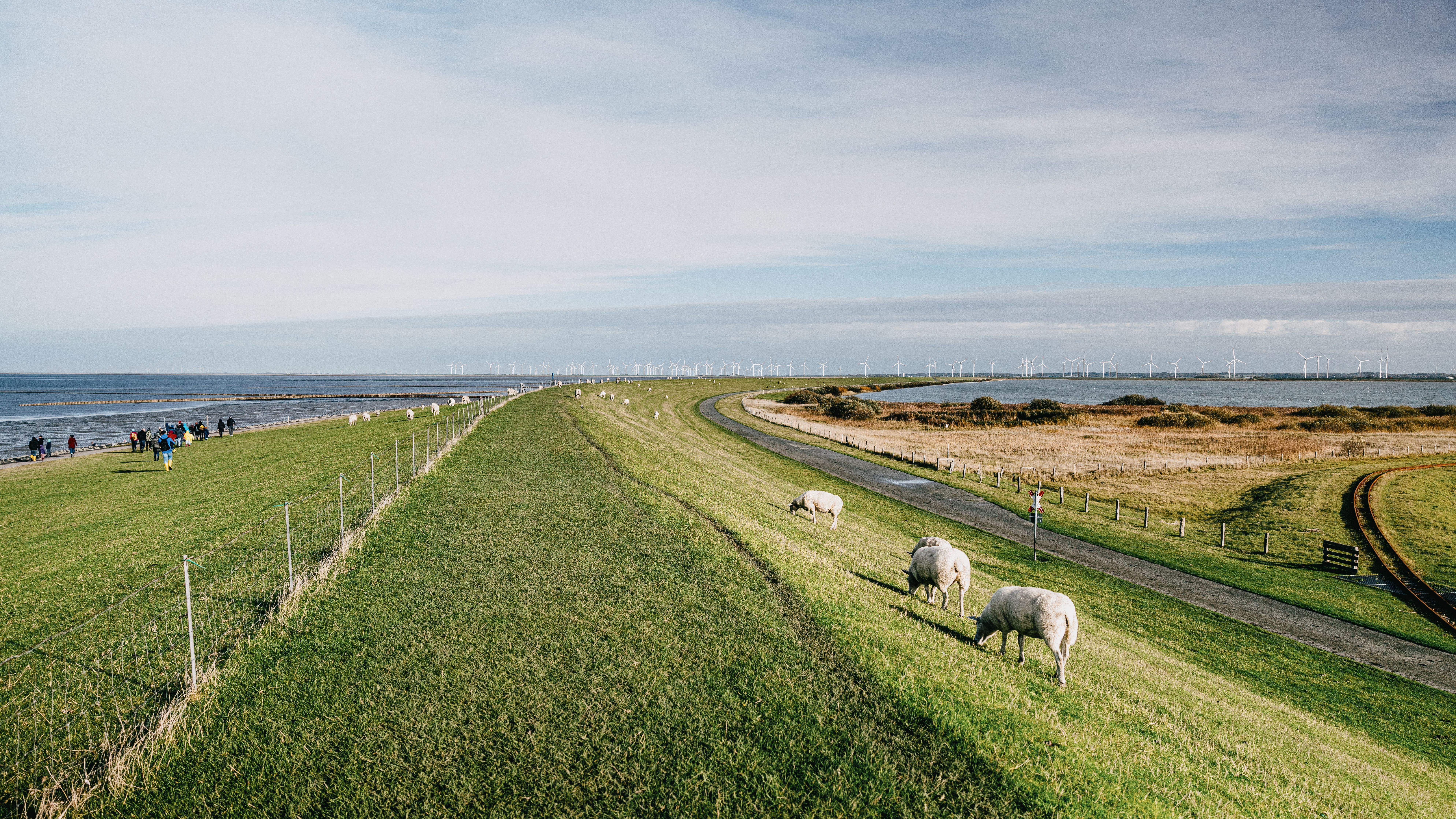 Unweit vom DeichNah Camp befindet sich die Badestelle Lüttmoorsiel