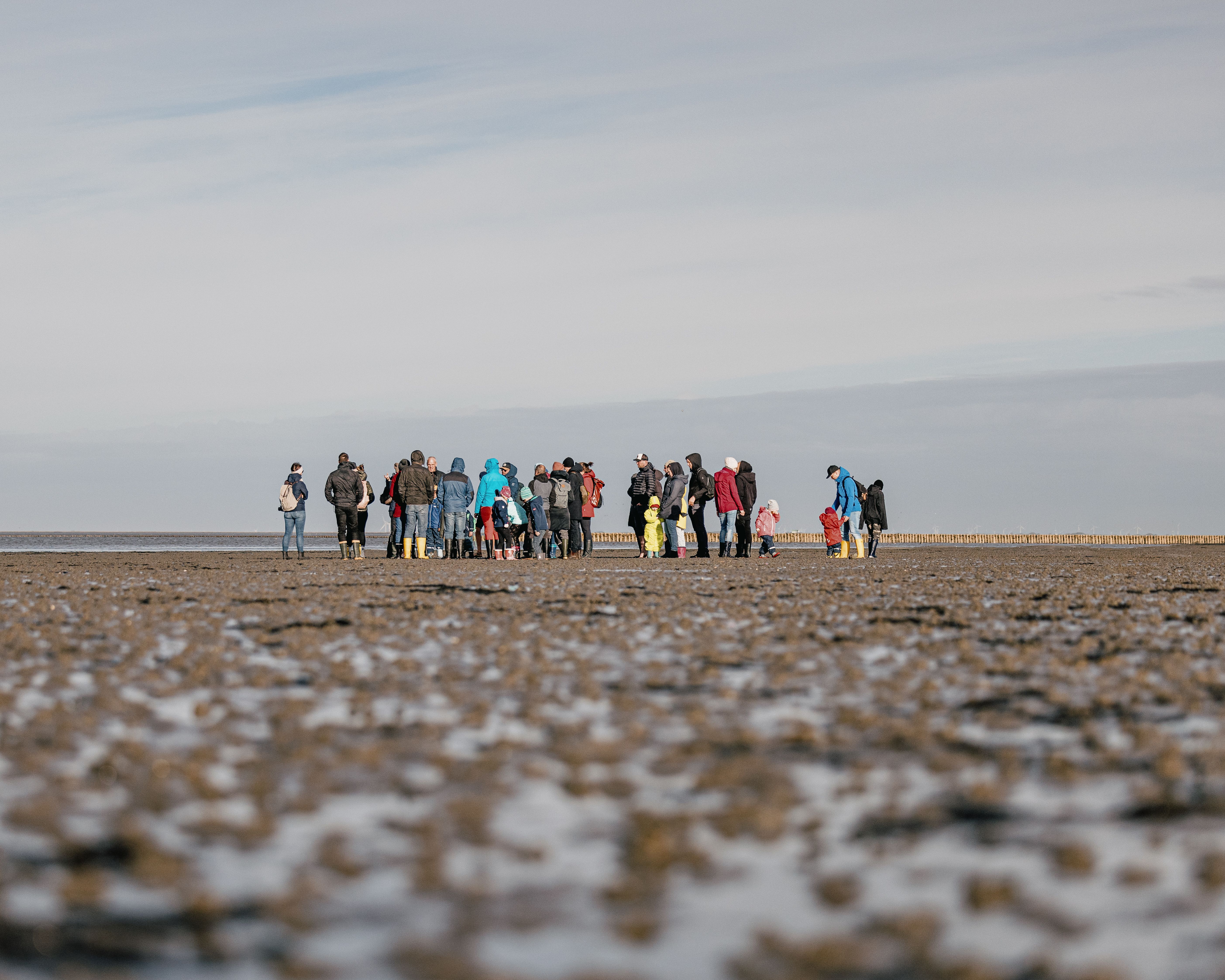 Gruppe Wattführung Nordfriesland