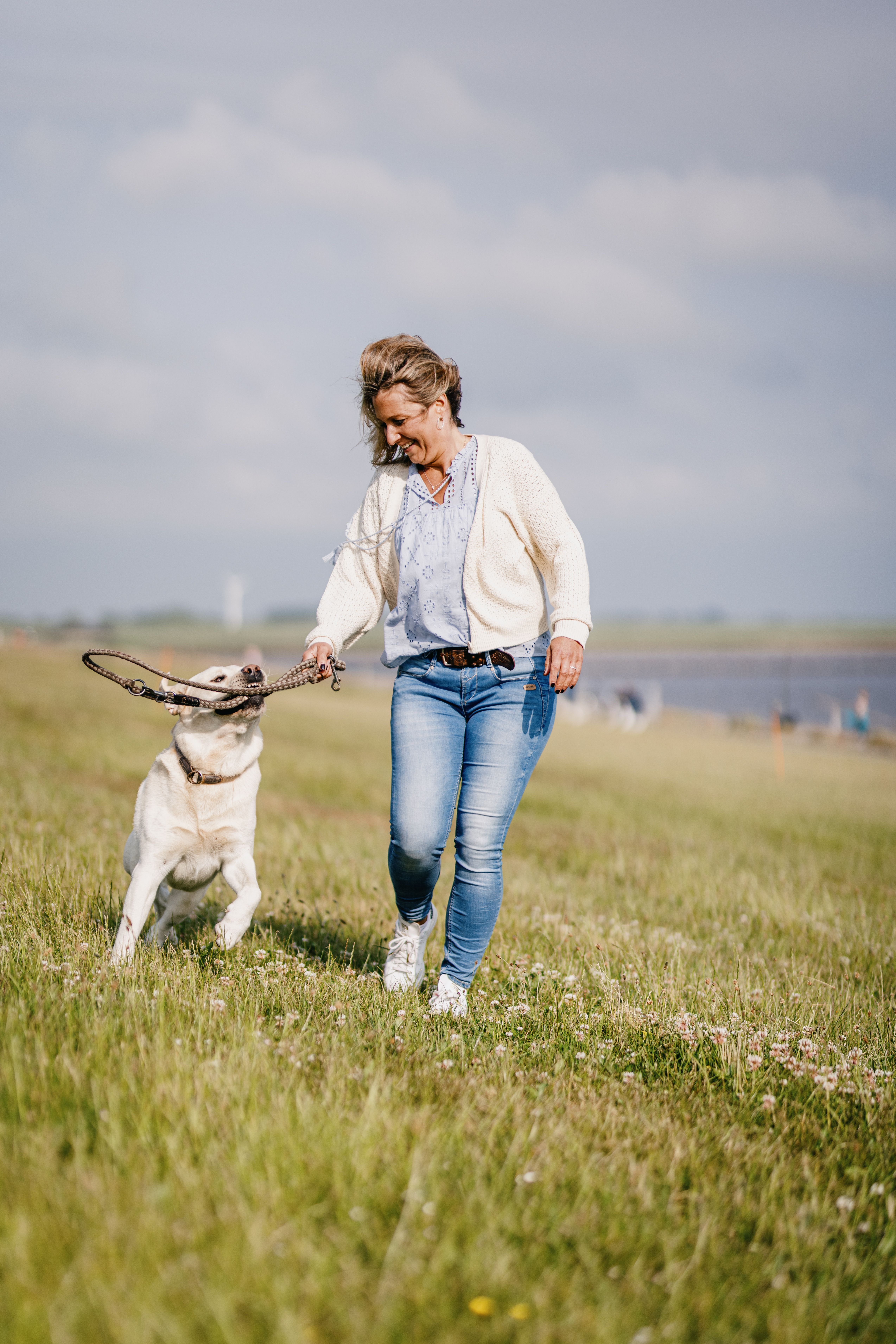 Am Badedeich in Dagebüll gibt es auch einen Hunde-Abschnitt